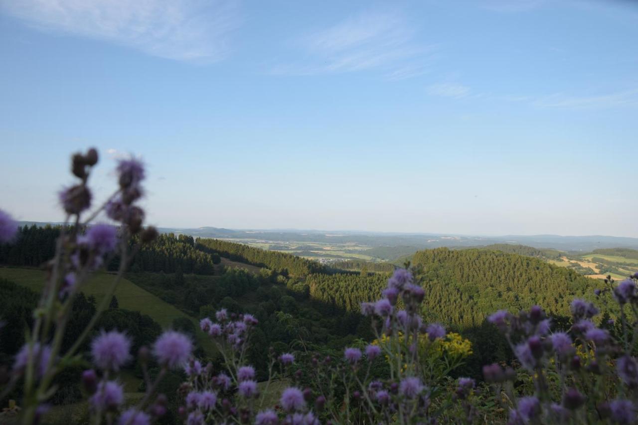 Ferienhaus Giebelei Medebach Buitenkant foto